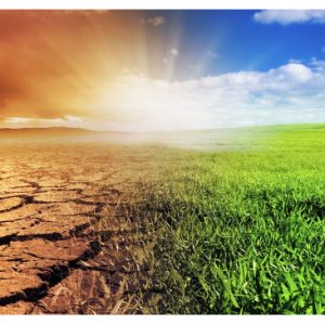 Climate Change and Agriculture