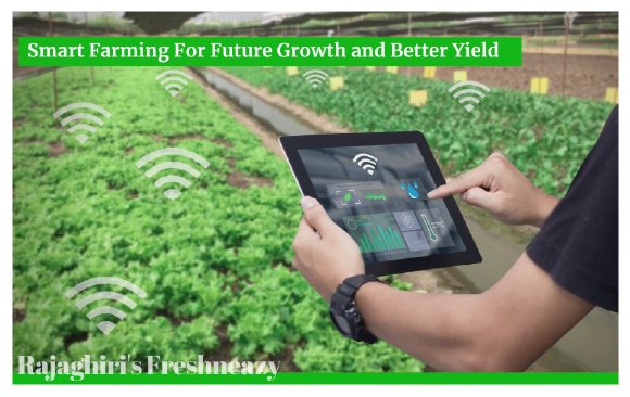 Patience in Precision Farming